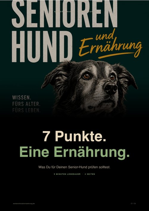 Vorschau: 7-Punkte-Ernährungs-Check für Seniorenhunde