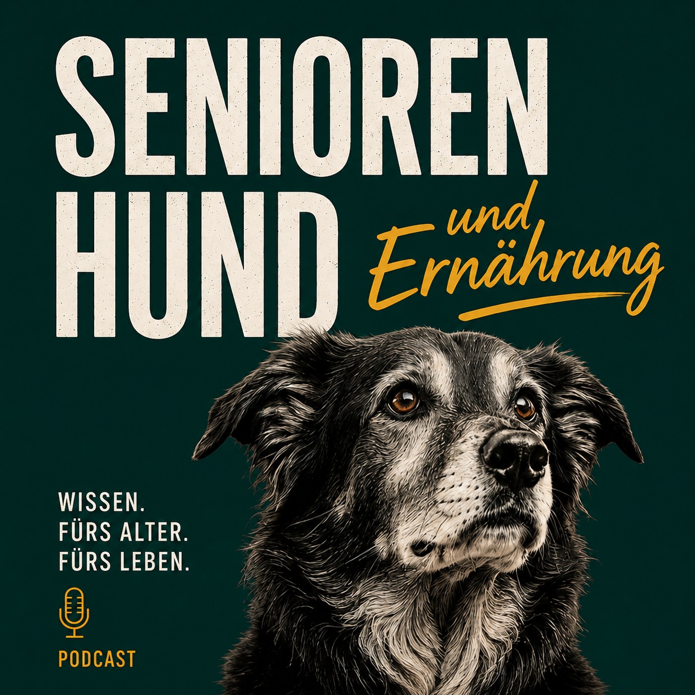 Seniorenhunde & Ernährung Podcast
