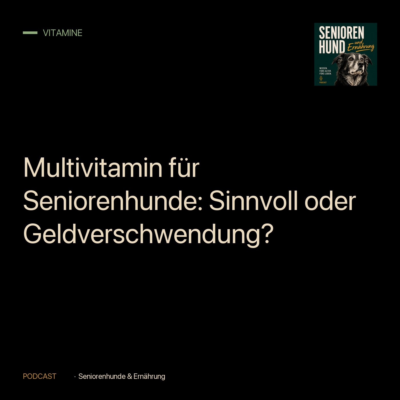 Multivitamin für Seniorenhunde: Sinnvoll oder Geldverschwendung? episode artwork