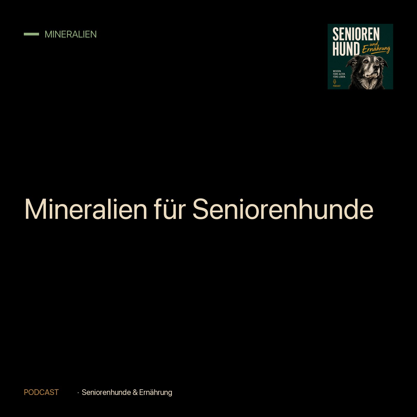 Mineralien für Seniorenhunde episode artwork