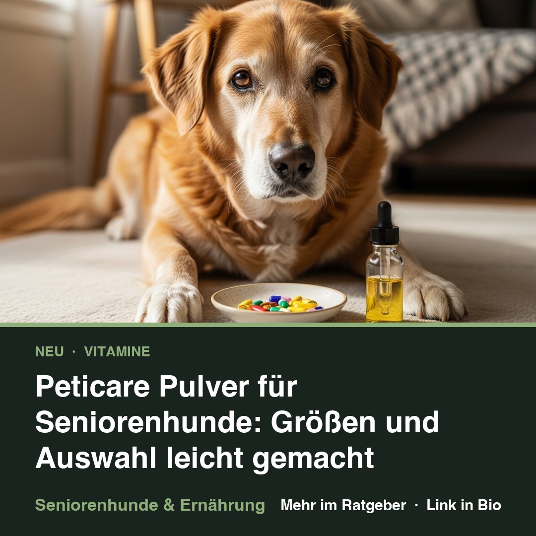 Peticare Pulver für Seniorenhunde: Größen und Auswahl episode artwork