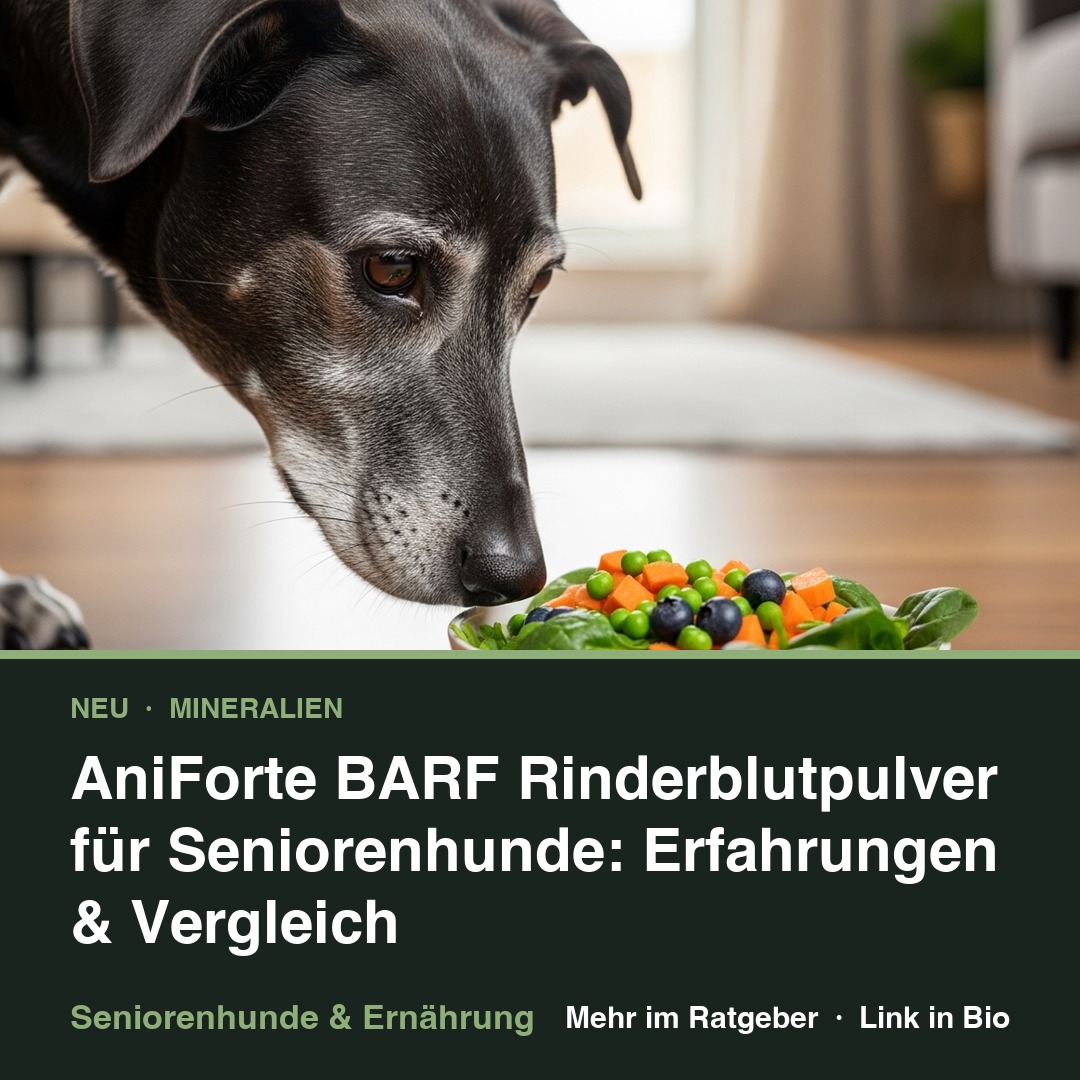 AniForte BARF Rinderblutpulver für Seniorenhunde: Erfahrungen & Vergleich