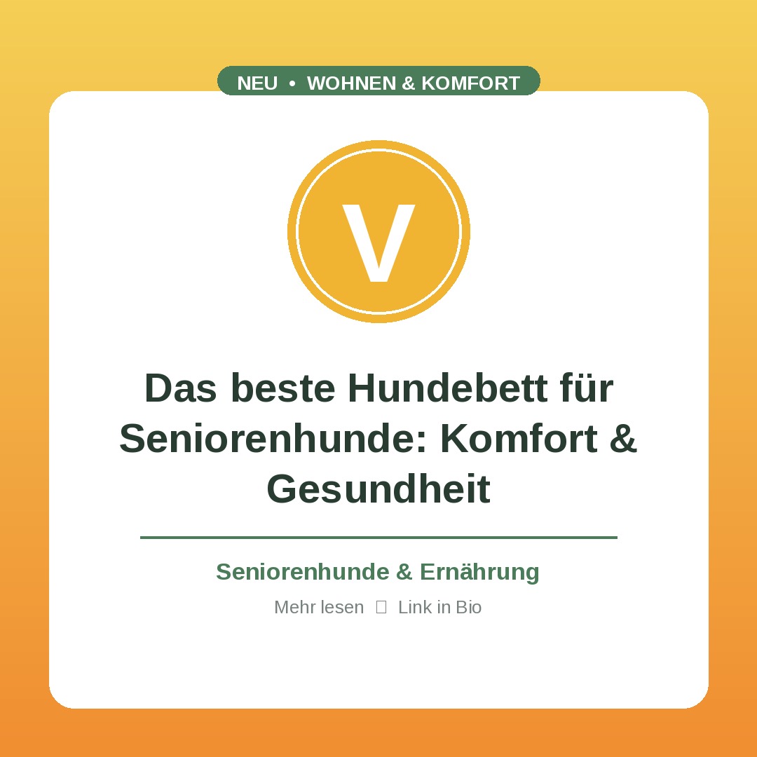 Wohnen & Komfort