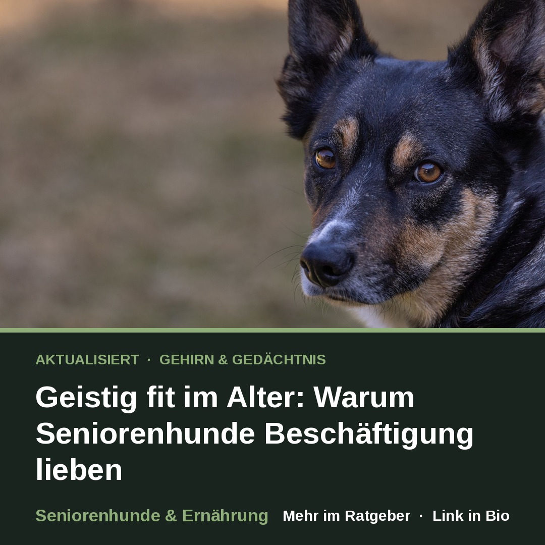 Gehirn & Gedächtnis
