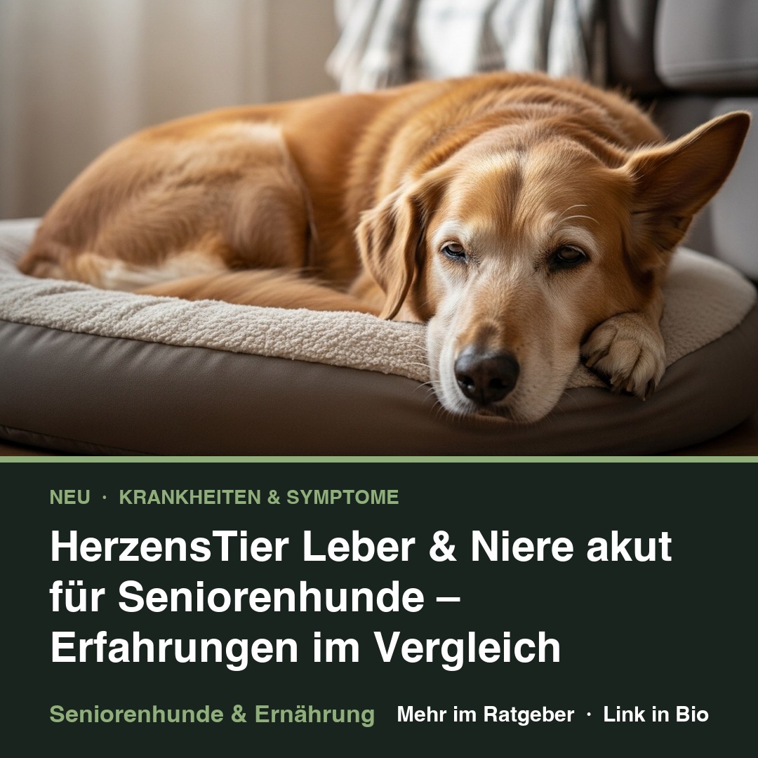 HerzensTier Leber & Niere akut für Seniorenhunde – Erfahrungen im Vergleich