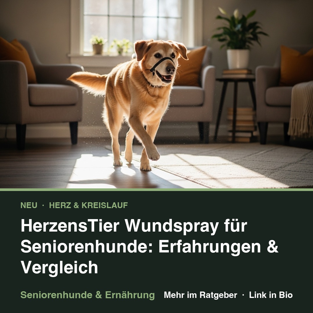 HerzensTier Wundspray für Seniorenhunde: Erfahrungen & Vergleich