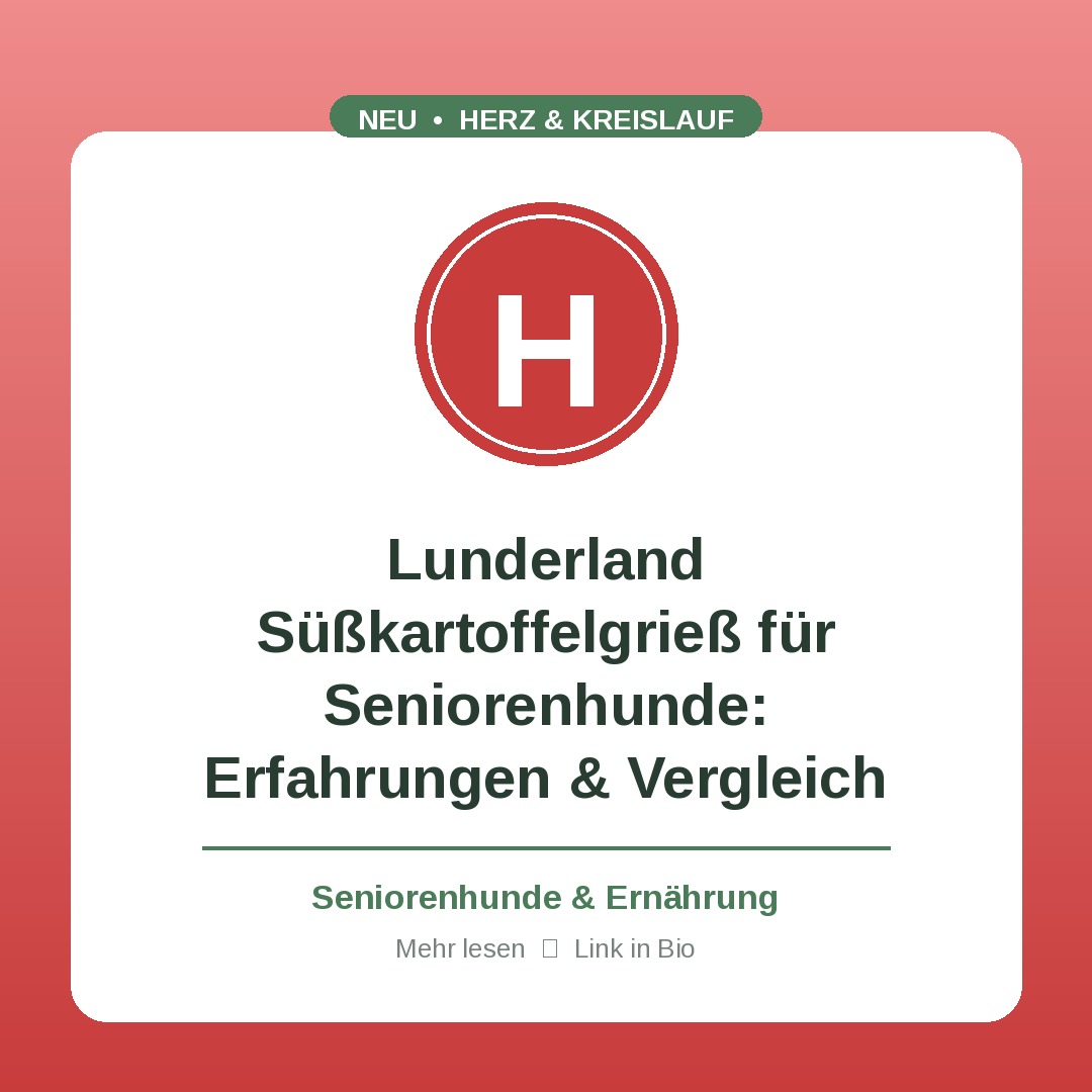 Lunderland Süßkartoffelgrieß für Seniorenhunde: Erfahrungen & Vergleich