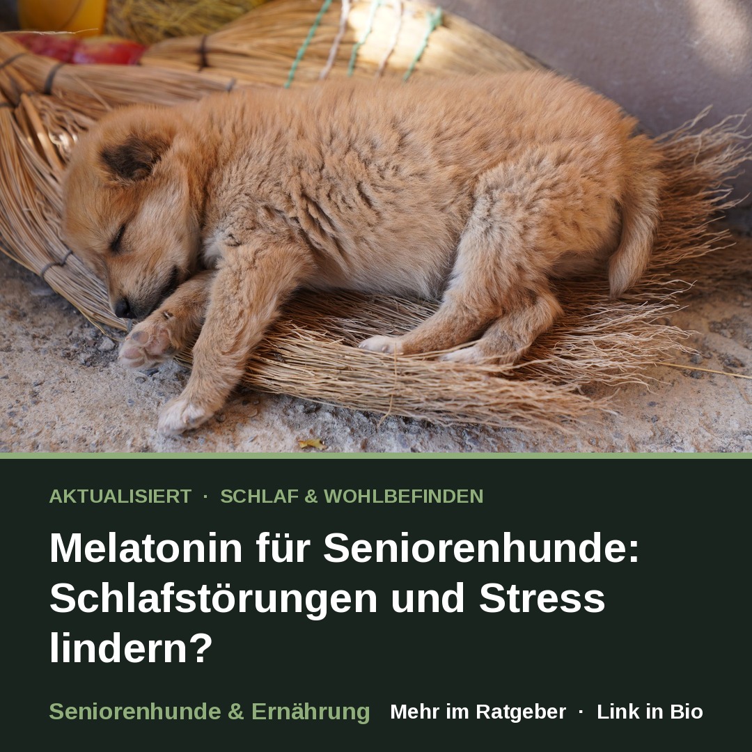 Schlaf & Wohlbefinden