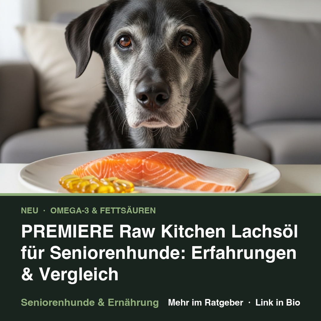PREMIERE Raw Kitchen Lachsöl für Seniorenhunde: Erfahrungen & Vergleich
