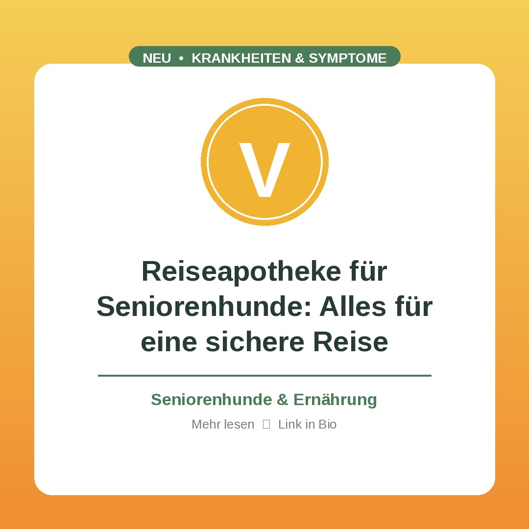 Reiseapotheke für Seniorenhunde: Alles für eine sichere Reise
