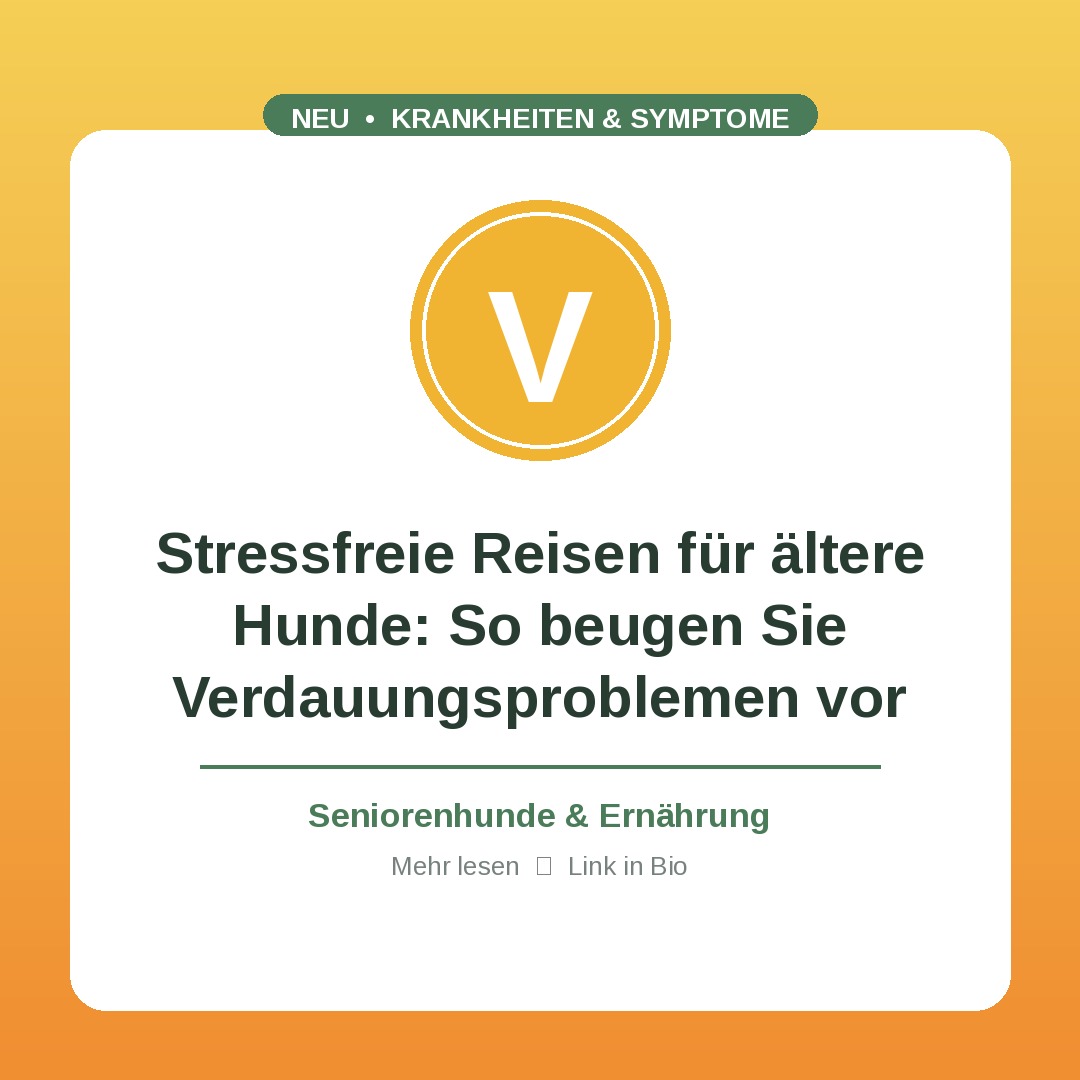 Stressfreie Reisen für ältere Hunde: So beugen Sie Verdauungsproblemen vor