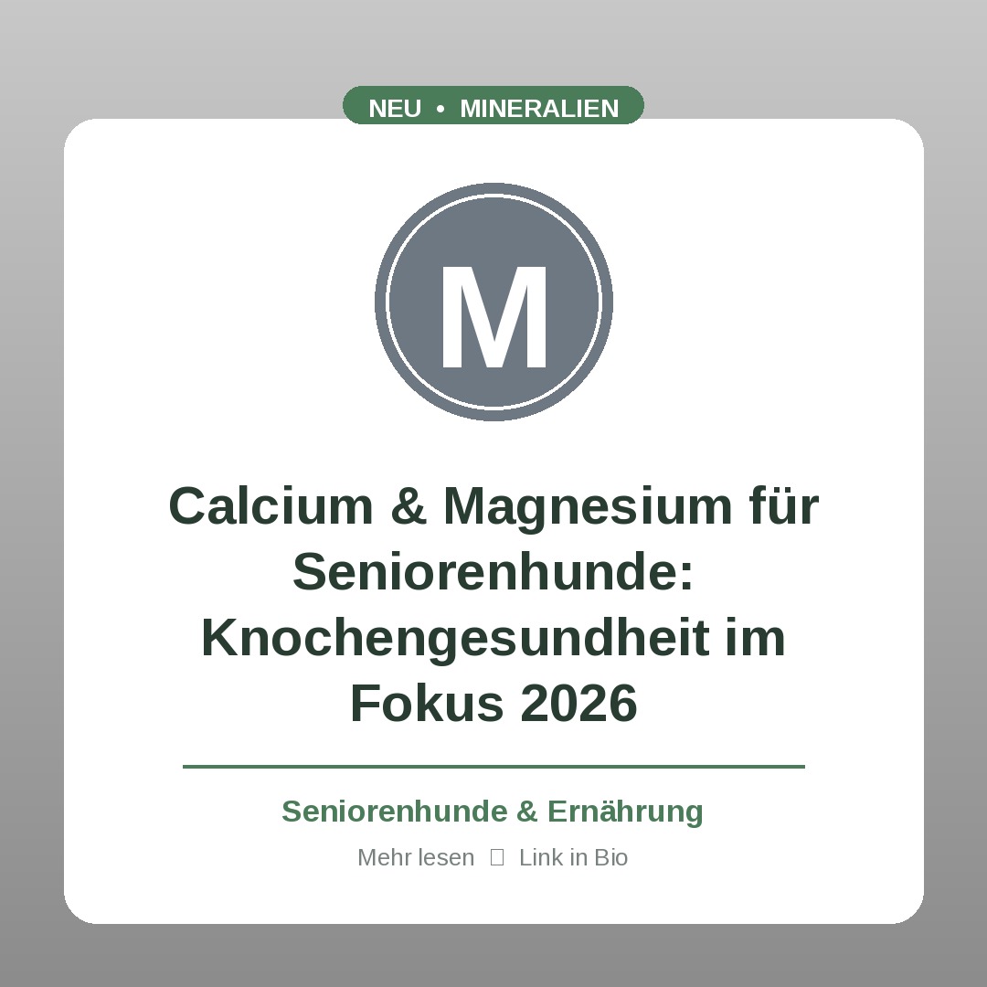 Calcium & Magnesium für Seniorenhunde: Knochengesundheit im Fokus 2026
