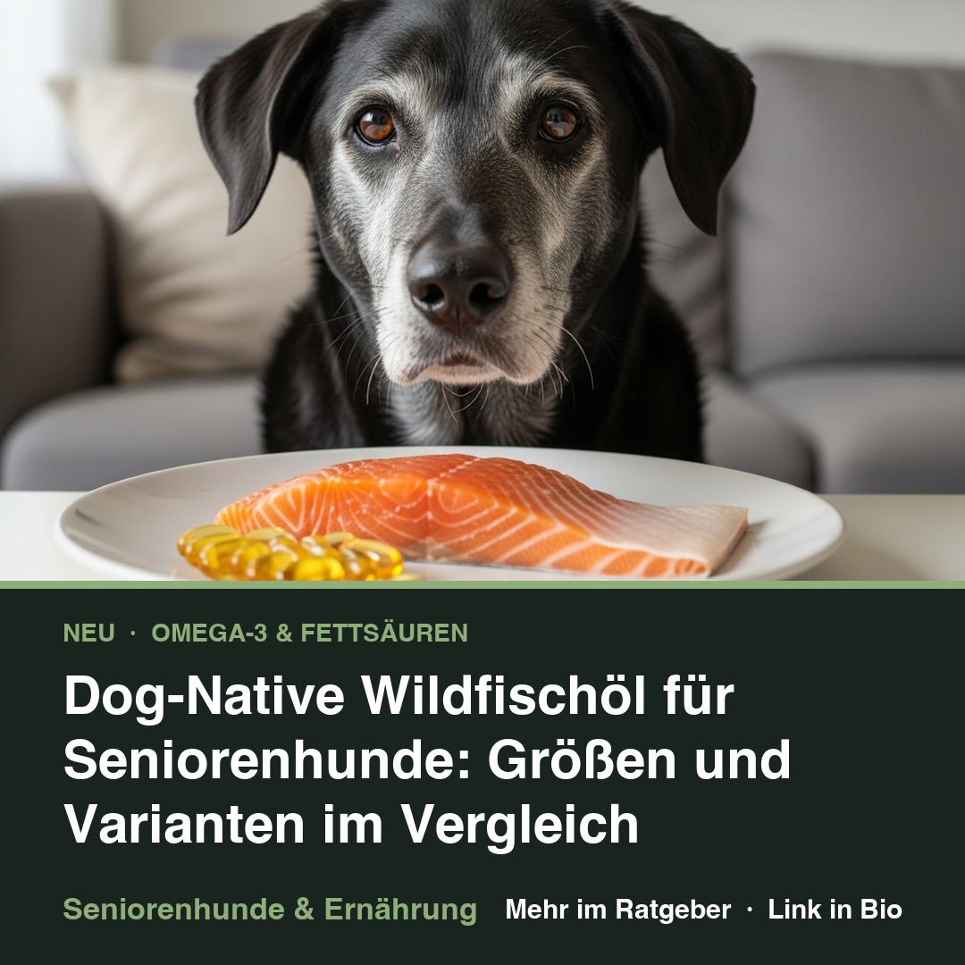 Dog-Native Wildfischöl für Seniorenhunde: Größen und Varianten im Vergleich