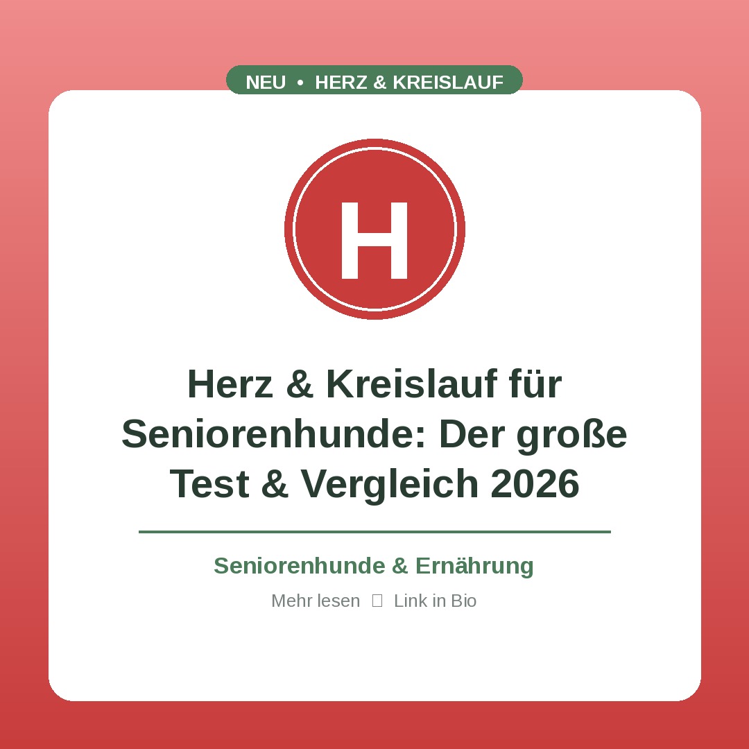 Herz & Kreislauf für Seniorenhunde: Der große Test & Vergleich 2026
