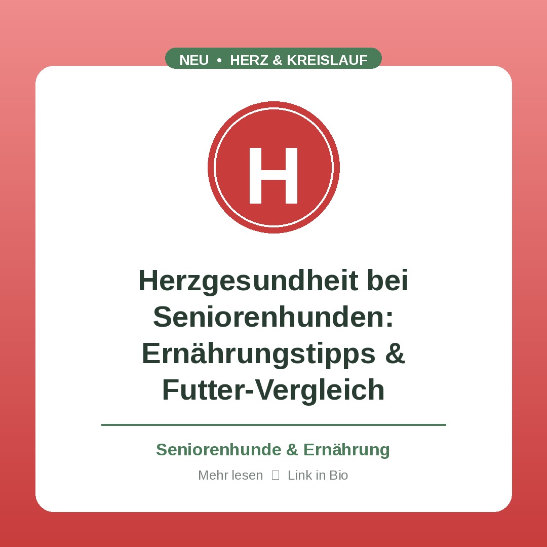 Herzgesundheit bei Seniorenhunden: Ernährungstipps & Futter-Vergleich