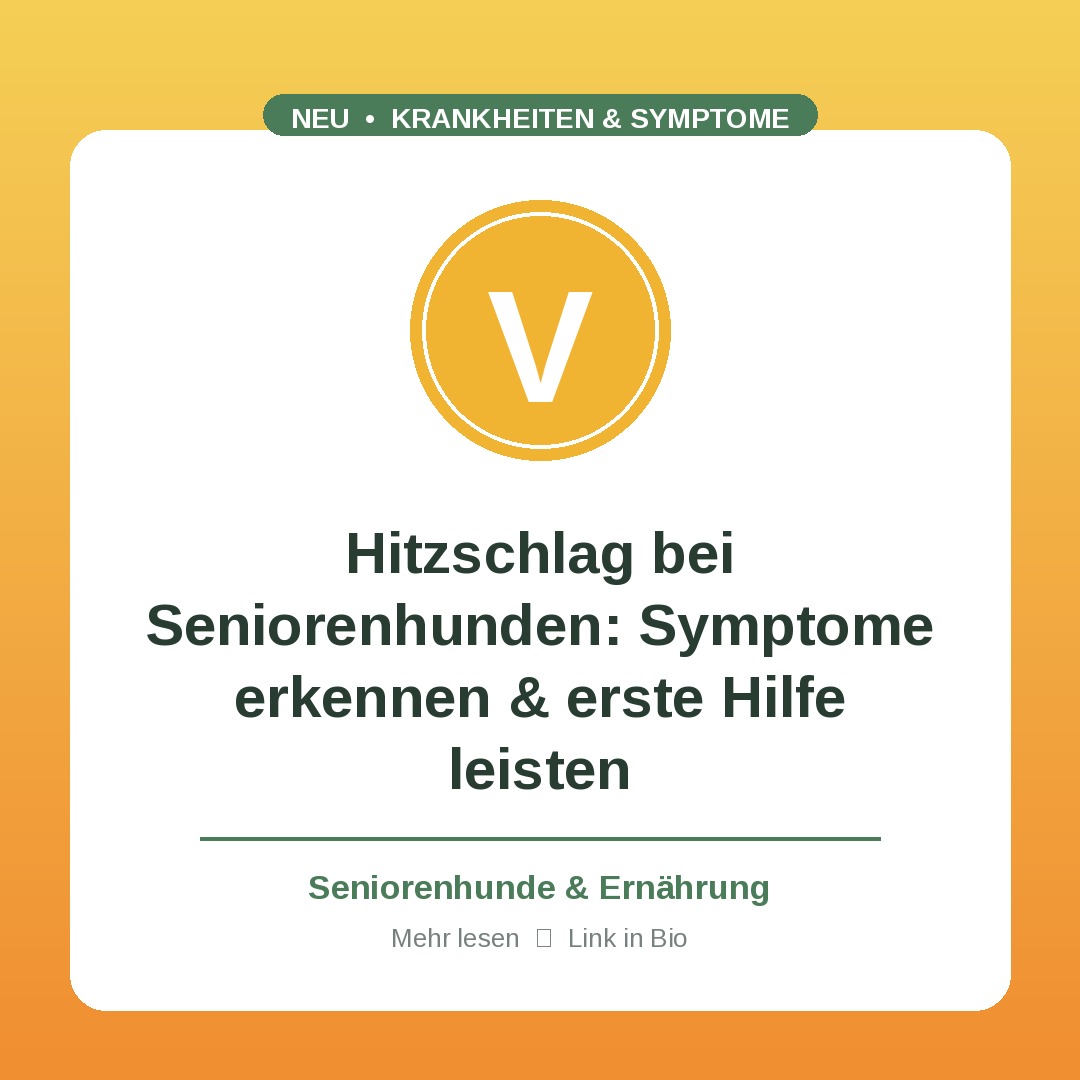 Krankheiten & Symptome