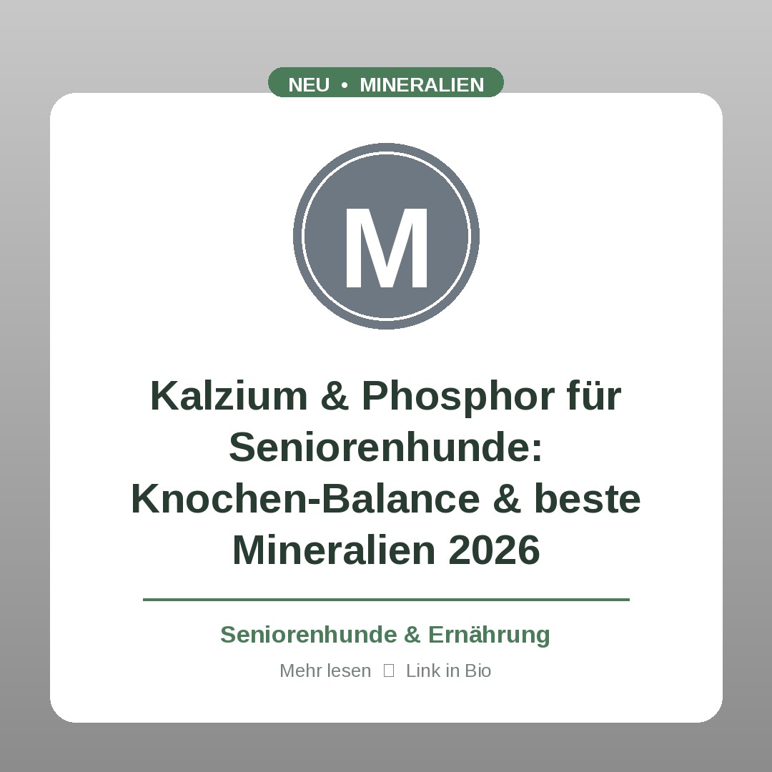 Kalzium & Phosphor für Seniorenhunde: Knochen-Balance & beste Mineralien 2026