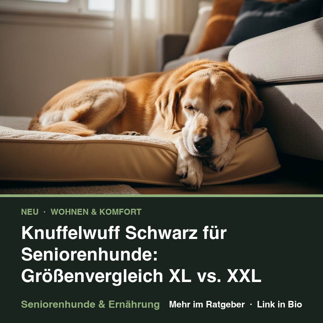 Knuffelwuff Schwarz für Seniorenhunde: Größenvergleich XL vs. XXL