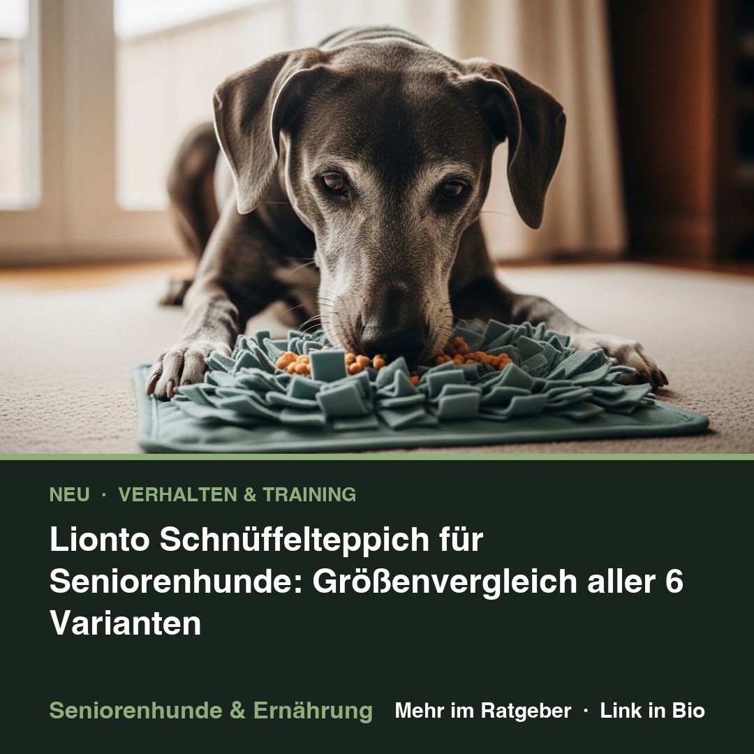 Lionto Schnüffelteppich für Seniorenhunde: Größenvergleich aller 6 Varianten