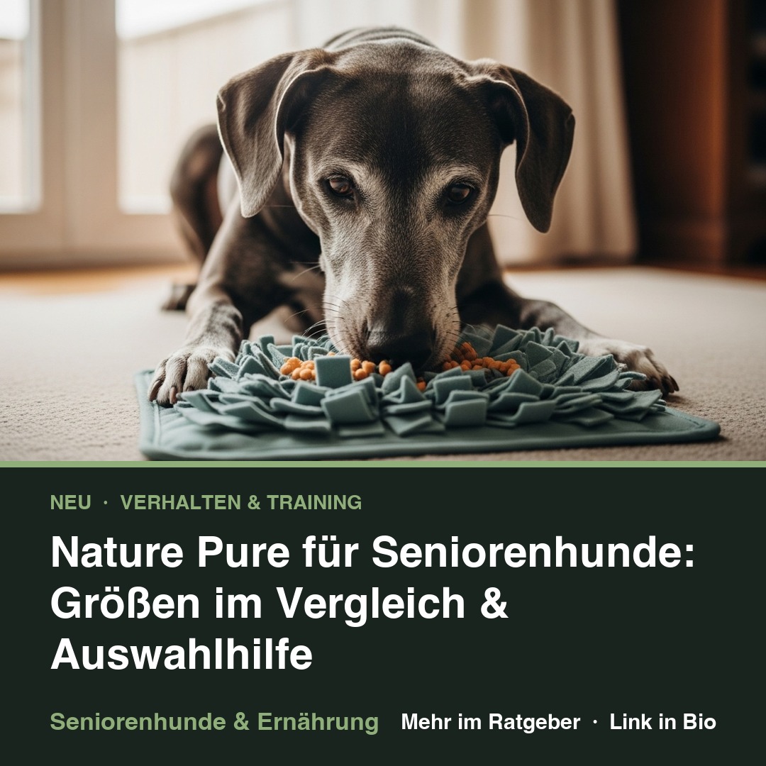 Nature Pure für Seniorenhunde: Größen im Vergleich & Auswahlhilfe