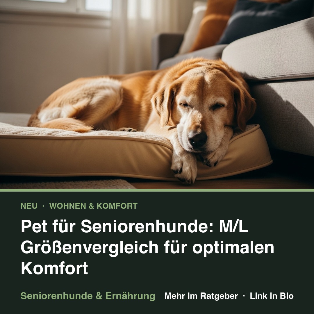 Pet für Seniorenhunde: M/L Größenvergleich für optimalen Komfort