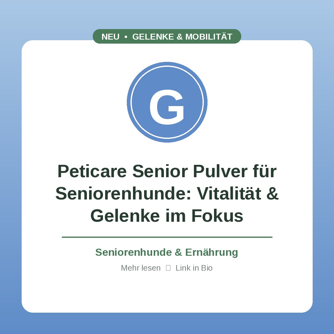 Gelenke & Mobilität