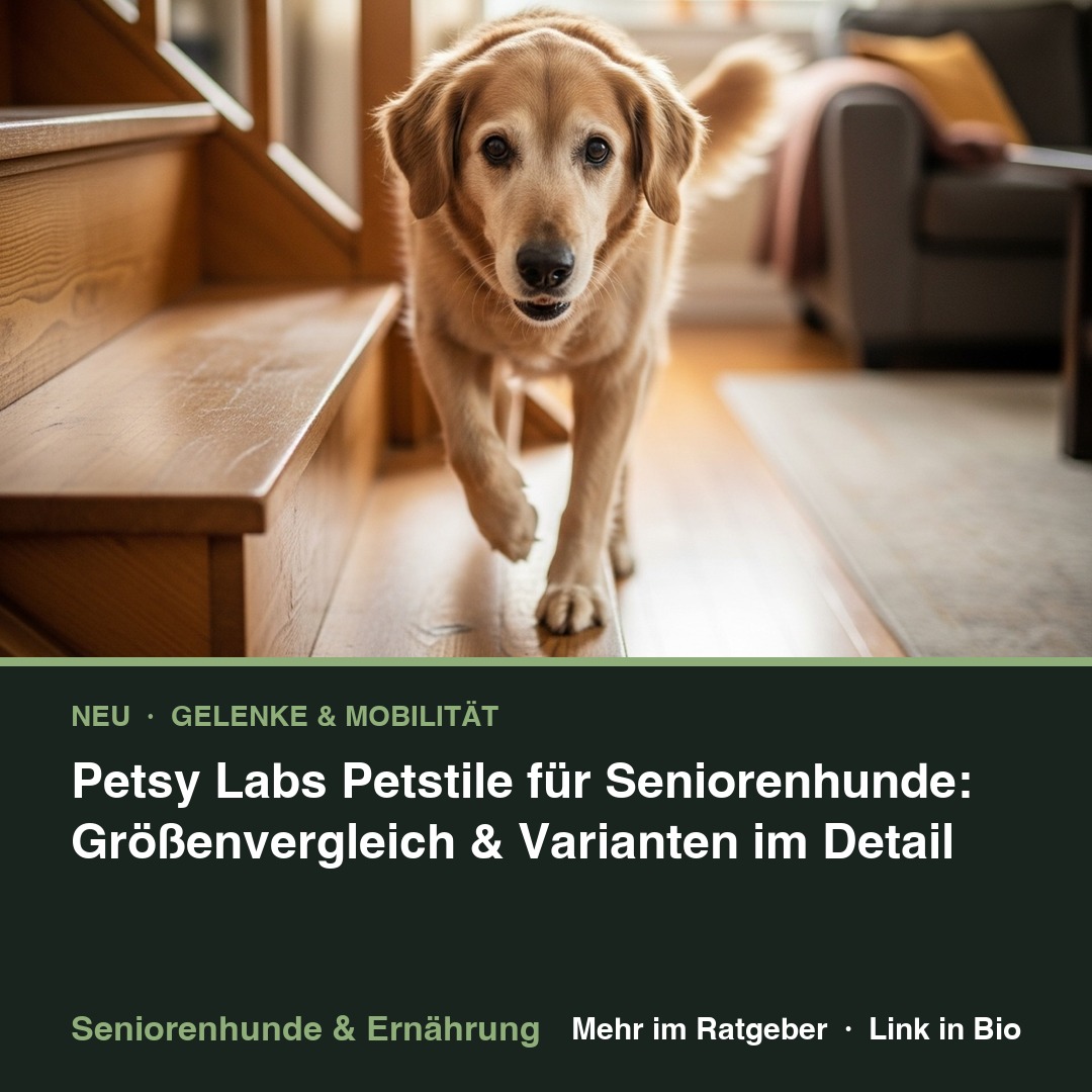 Petsy Labs Petstile für Seniorenhunde: Größenvergleich & Varianten im Detail