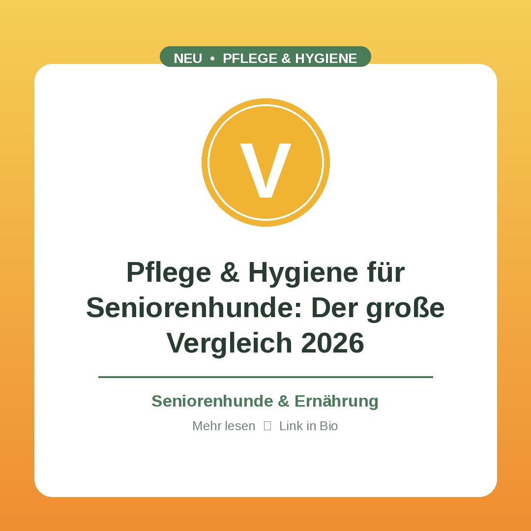 Pflege & Hygiene für Seniorenhunde: Der große Vergleich 2026