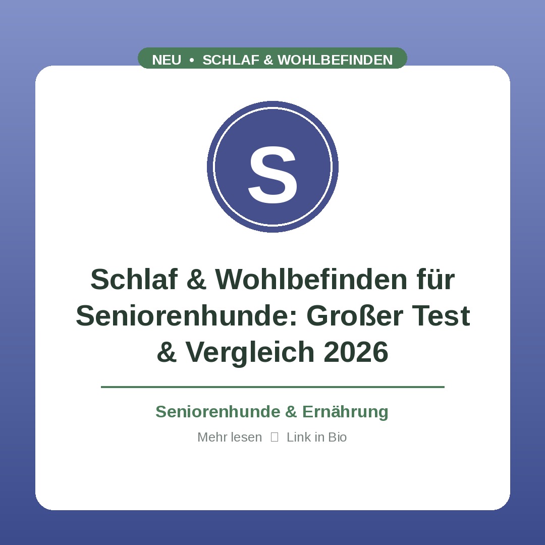 Schlaf & Wohlbefinden für Seniorenhunde: Großer Test & Vergleich 2026
