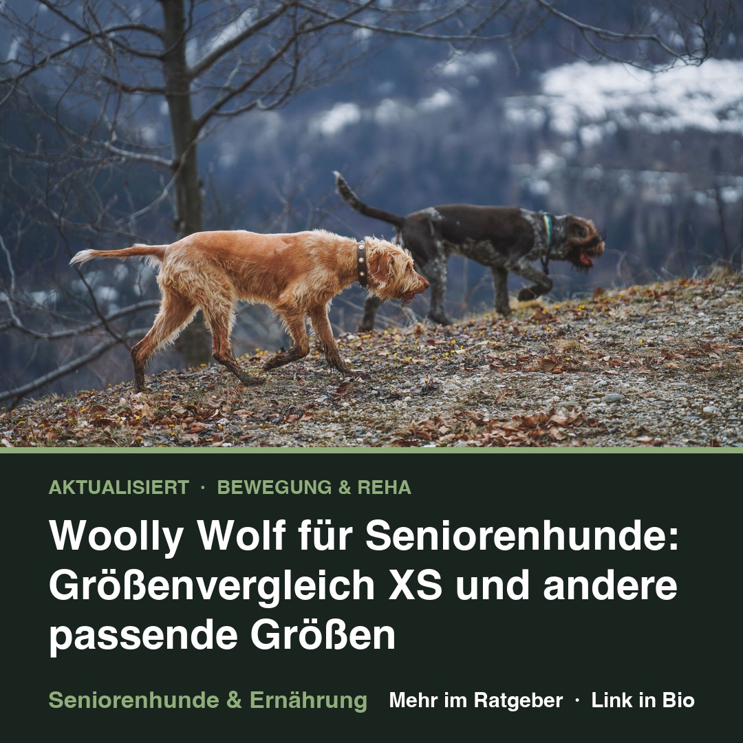 Woolly Wolf für Seniorenhunde: Größenvergleich XS und andere passende Größen