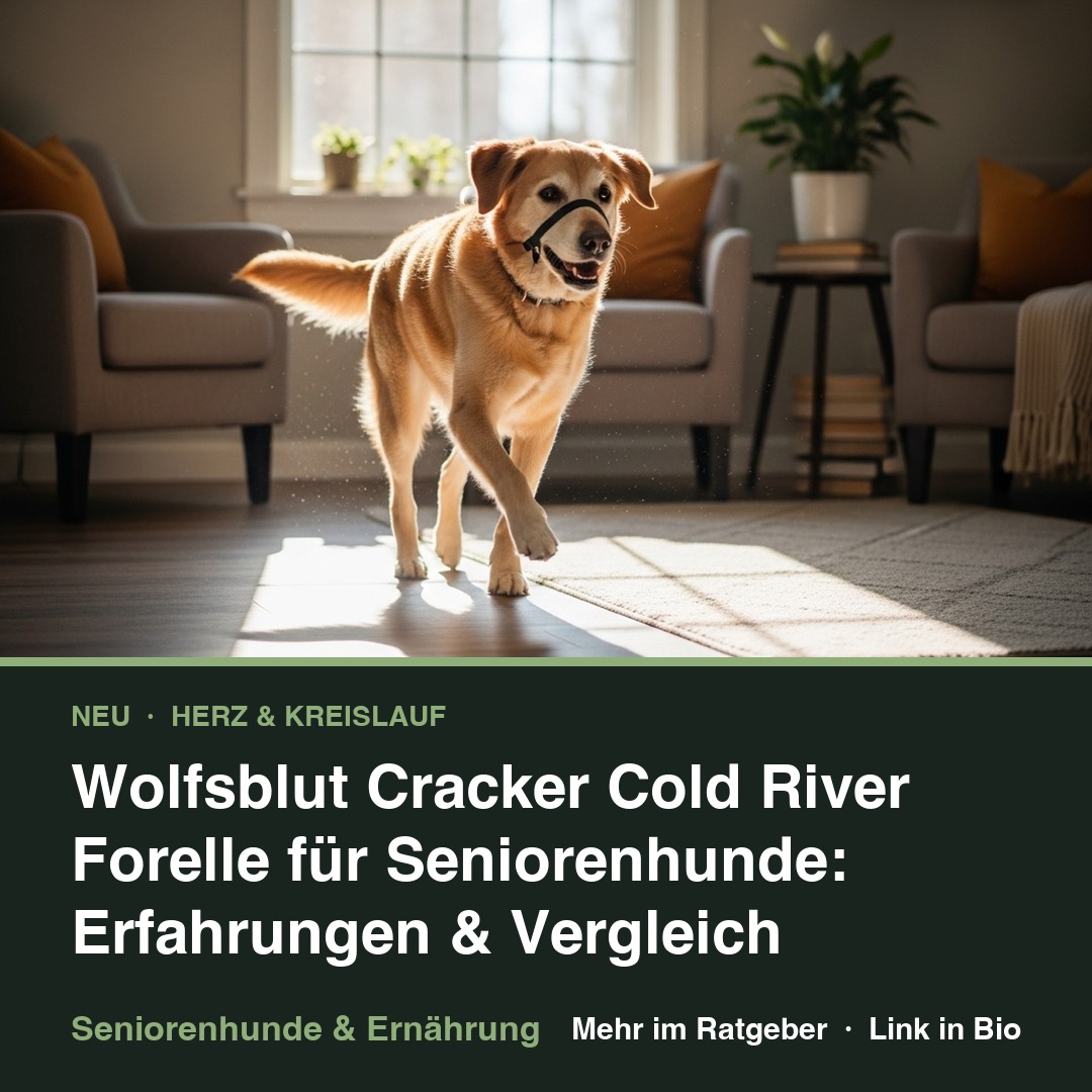 Wolfsblut Cracker Cold River Forelle für Seniorenhunde: Erfahrungen & Vergleich